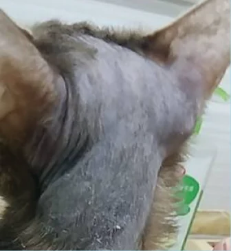 頸部皮膚護理,護理前照片